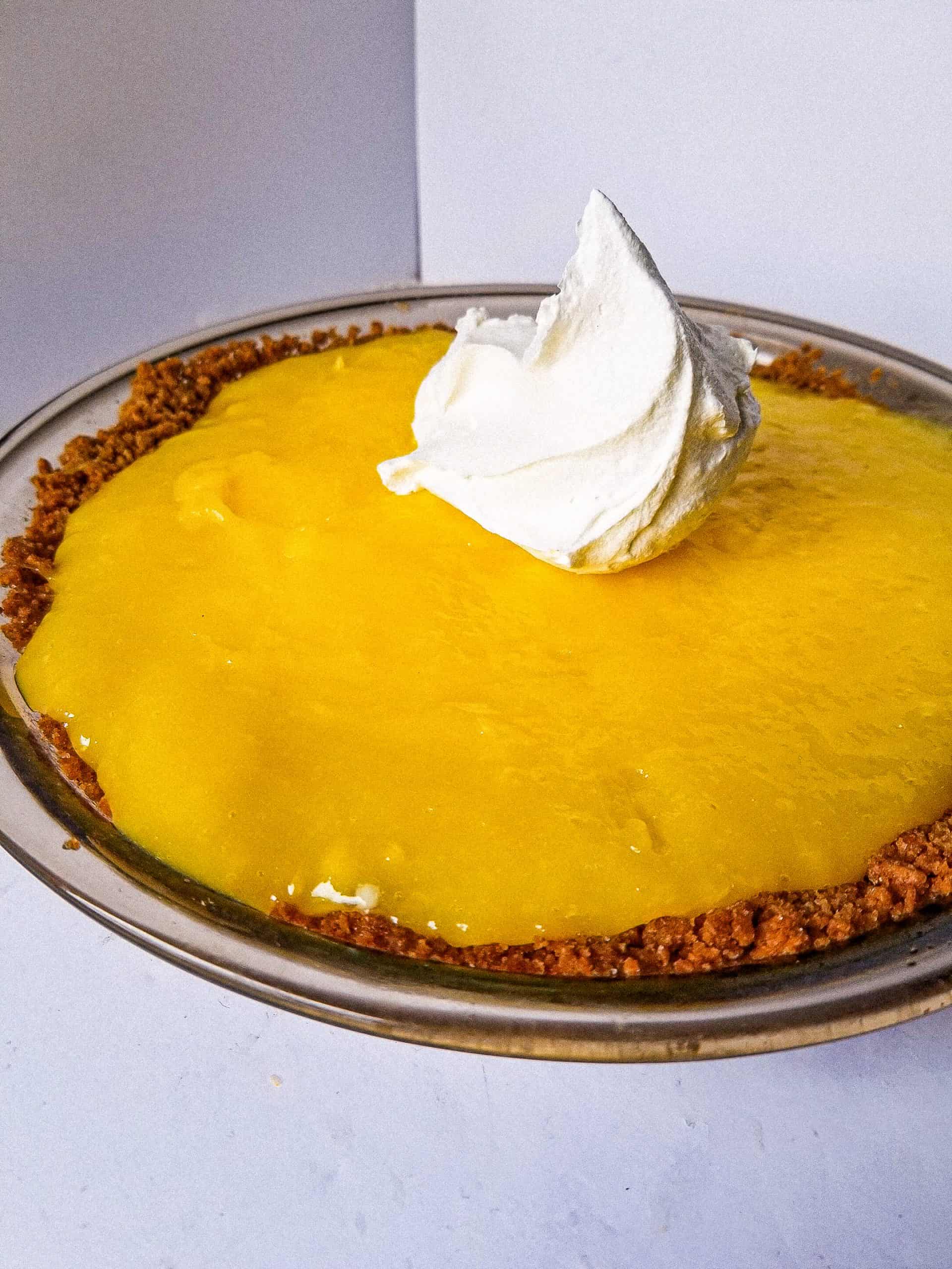 Luscious Lemon Pudding Pie