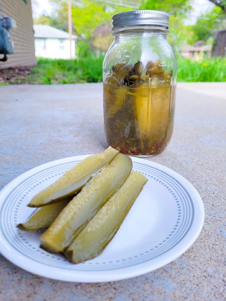 Dill Pickle Recipe for Canning (Old Fashioned Dill Pickle Recipe)