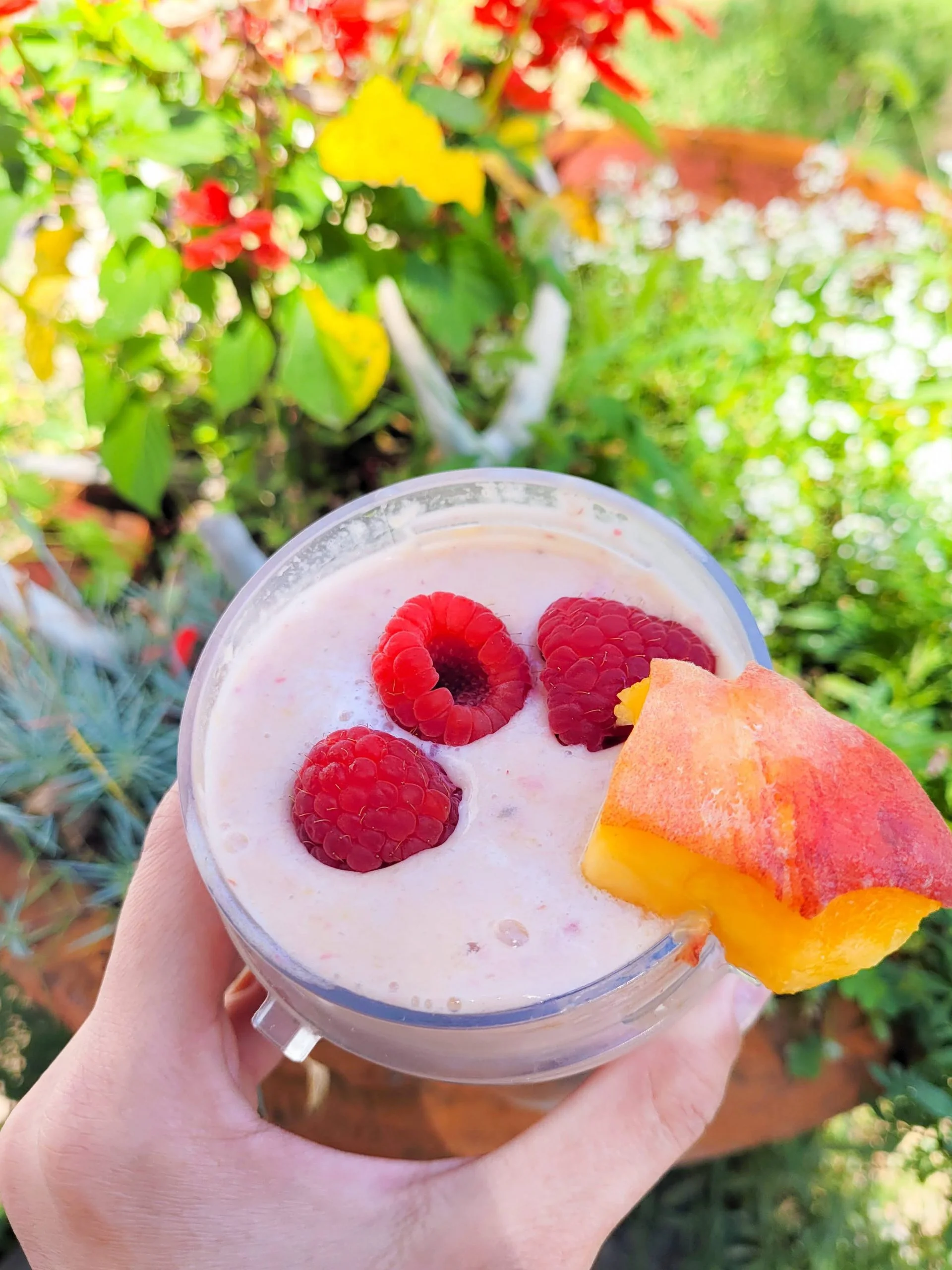 raspberry mango smoothie without yogurt with berries and a mango on top with greens in the background. 
