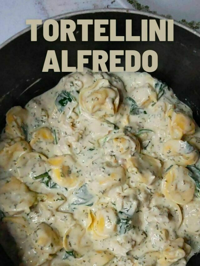 Creamy Cheese Tortellini Alfredo